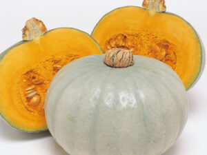 即納　南瓜 夢味　9cmポット苗